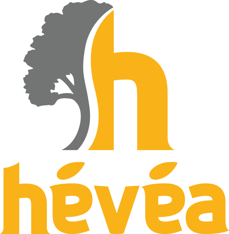 Hévéa